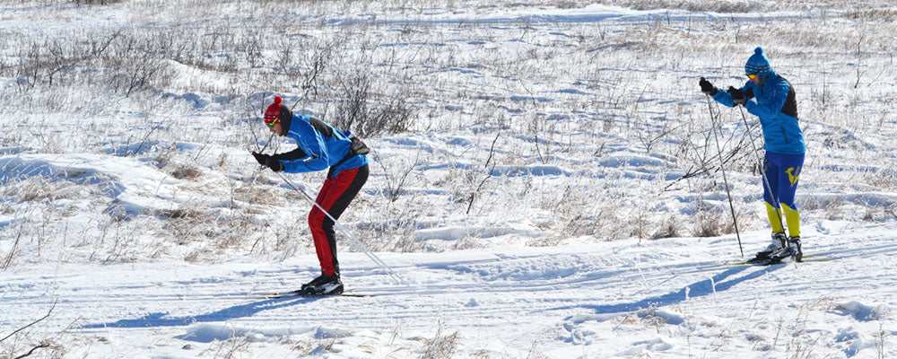 Cross country skiers double poling 