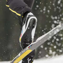 Nordic Skin Skis