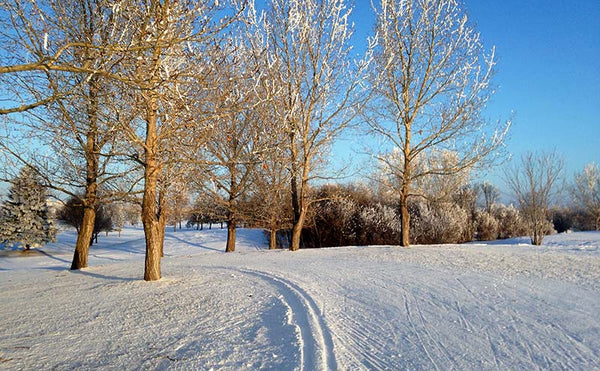 Wildwood ski trails