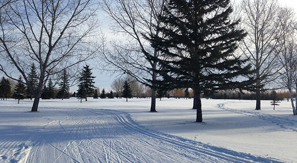 Wildwood golf course ski trail saskatoon