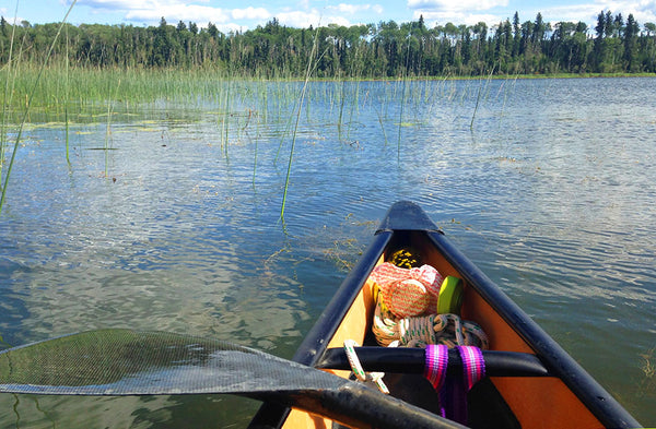 growing sprouts on canoe trip