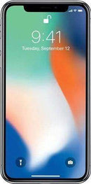 alt-P-IPHONEX-Silver-img