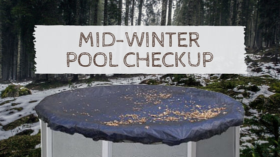 mid winter pool checkup blog banner