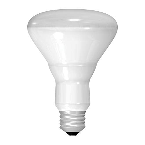 philips 75w halogen flood