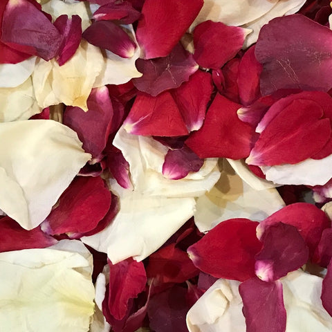 Real Freeze Dried Biodegradable Rose Petal Wedding Confetti Ireland 