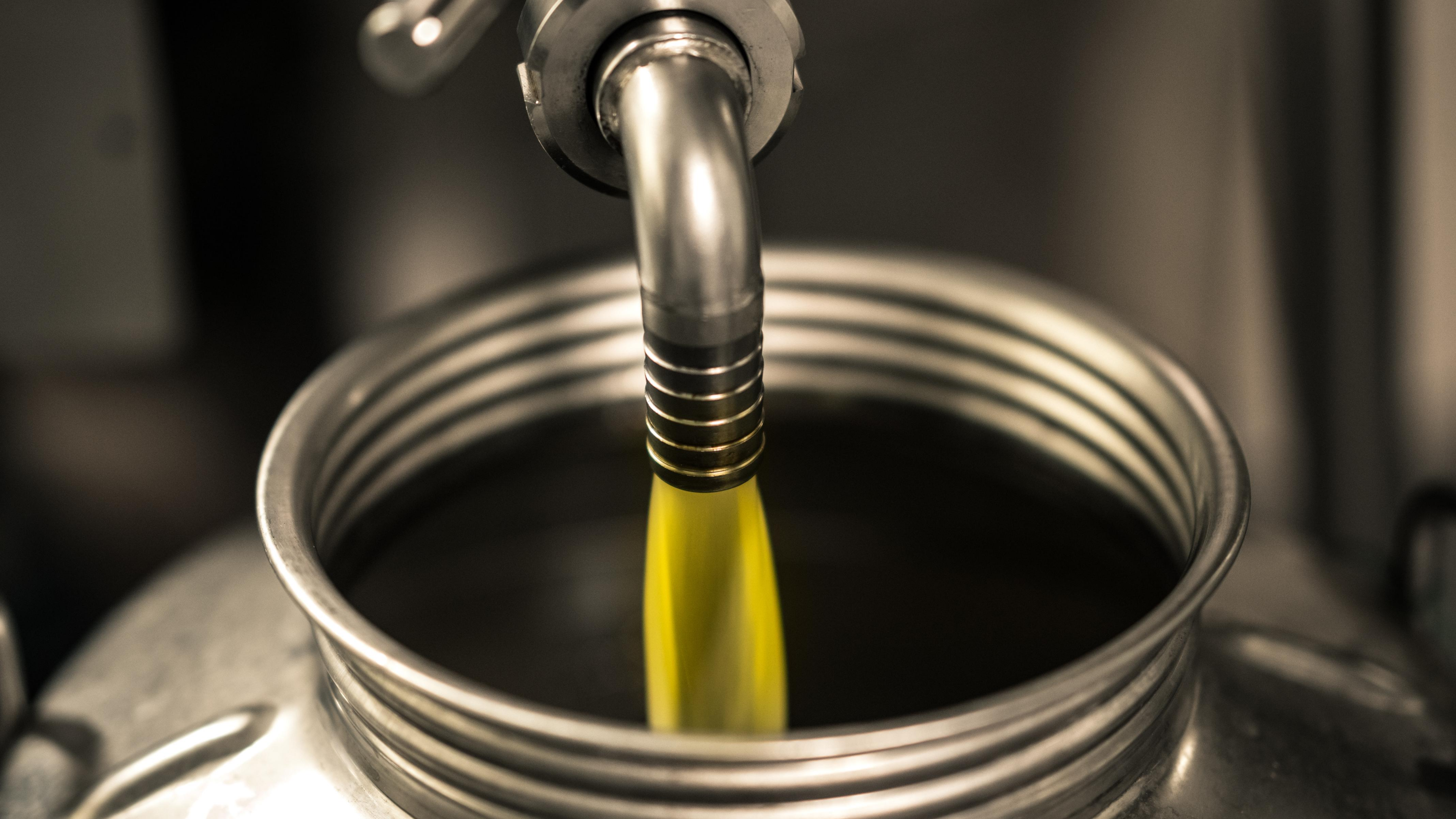 Olive Oil Extraction