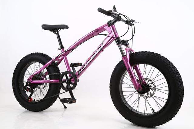 20 inch fat bike