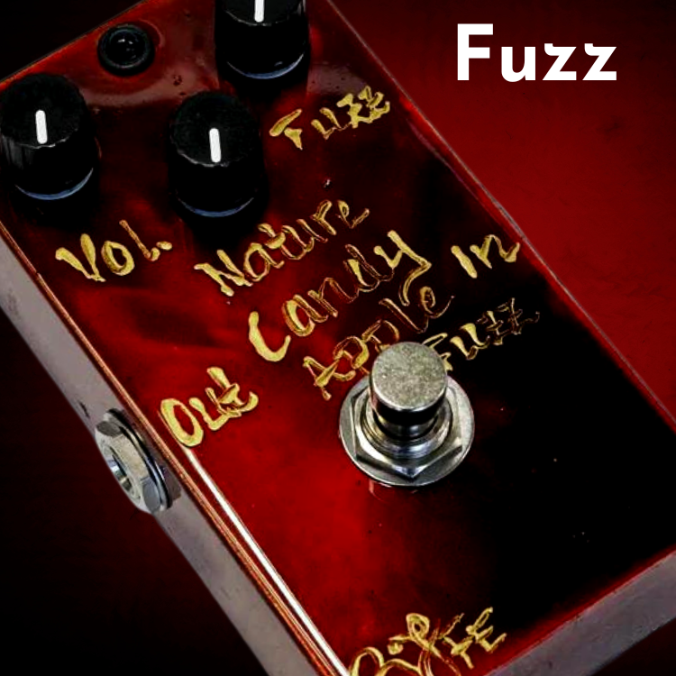 上質で快適 Fuzz BJFE Polka Polka BJFE Fuzz - sociales.uprrp.edu