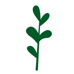Herbalès green leaf
