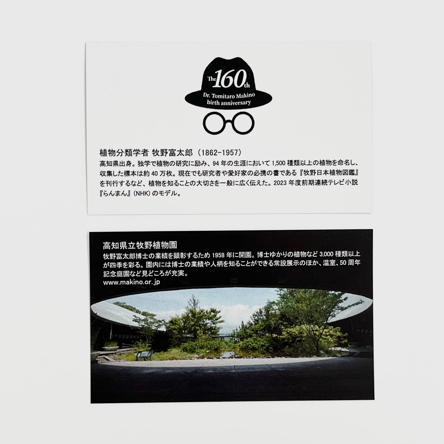 牧野植物園 プリントチョコ缶