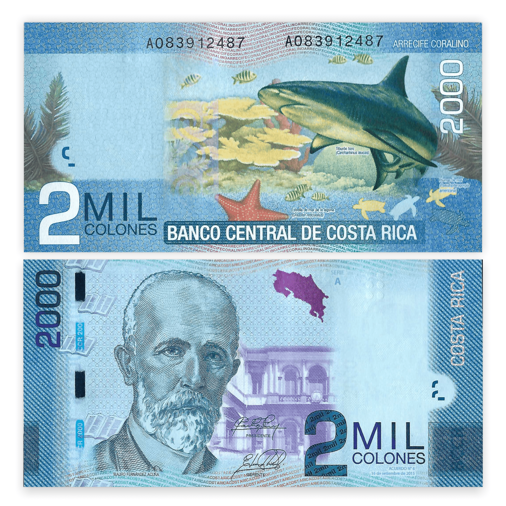 Paper Money Costa Rica 1990's  5 Colones Banknote Foreign World Banknotes Collection Paper Money.gifts for him. UNC