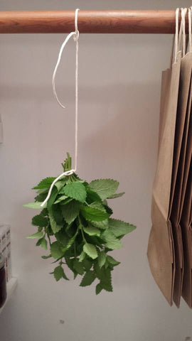 Drying mint for Mint to Bea tea.