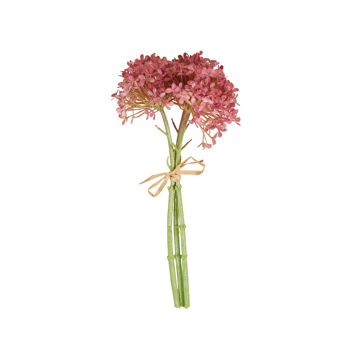 Hortensia Bunch