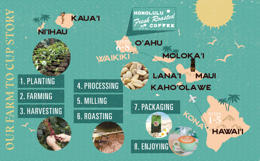 A processing chart showing how our Kona Coffee goes from our farm to the roaster in our Experience Center in Honolulu, HI