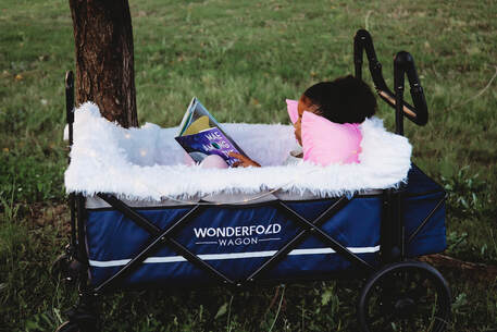 wonderfold stroller wagon x2 2 seater