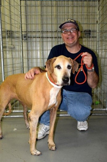 Casey and his canine companions