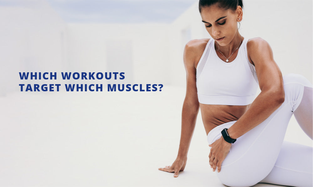 Which Workouts Target Which Muscles?