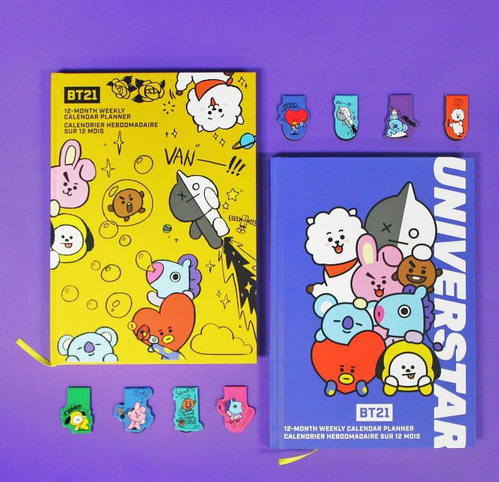 bt21 laundry bag