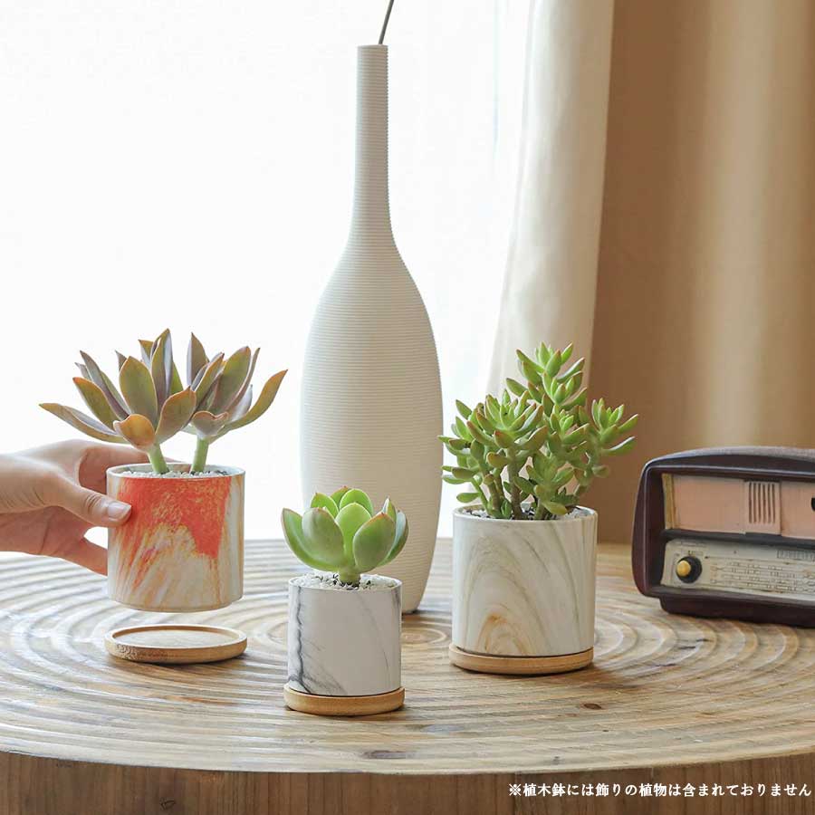 単品販売／受注生産 usagi ceramic laboratory 鉢 #2 - 植物/観葉植物