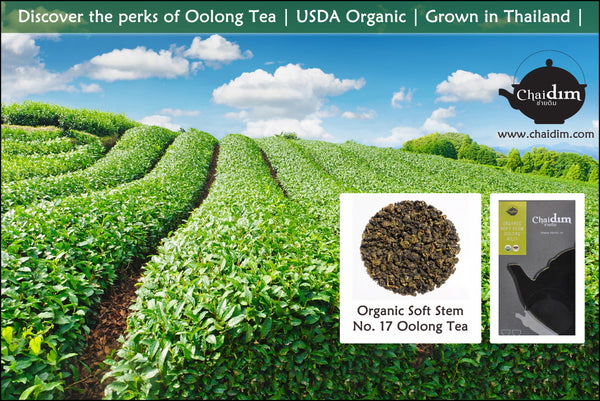 Oolong Tea | Soft Stem No. 17 | USDA Organic | Chaidim
