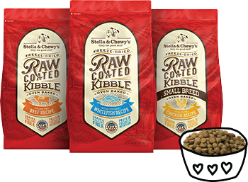 chewy raw dog food