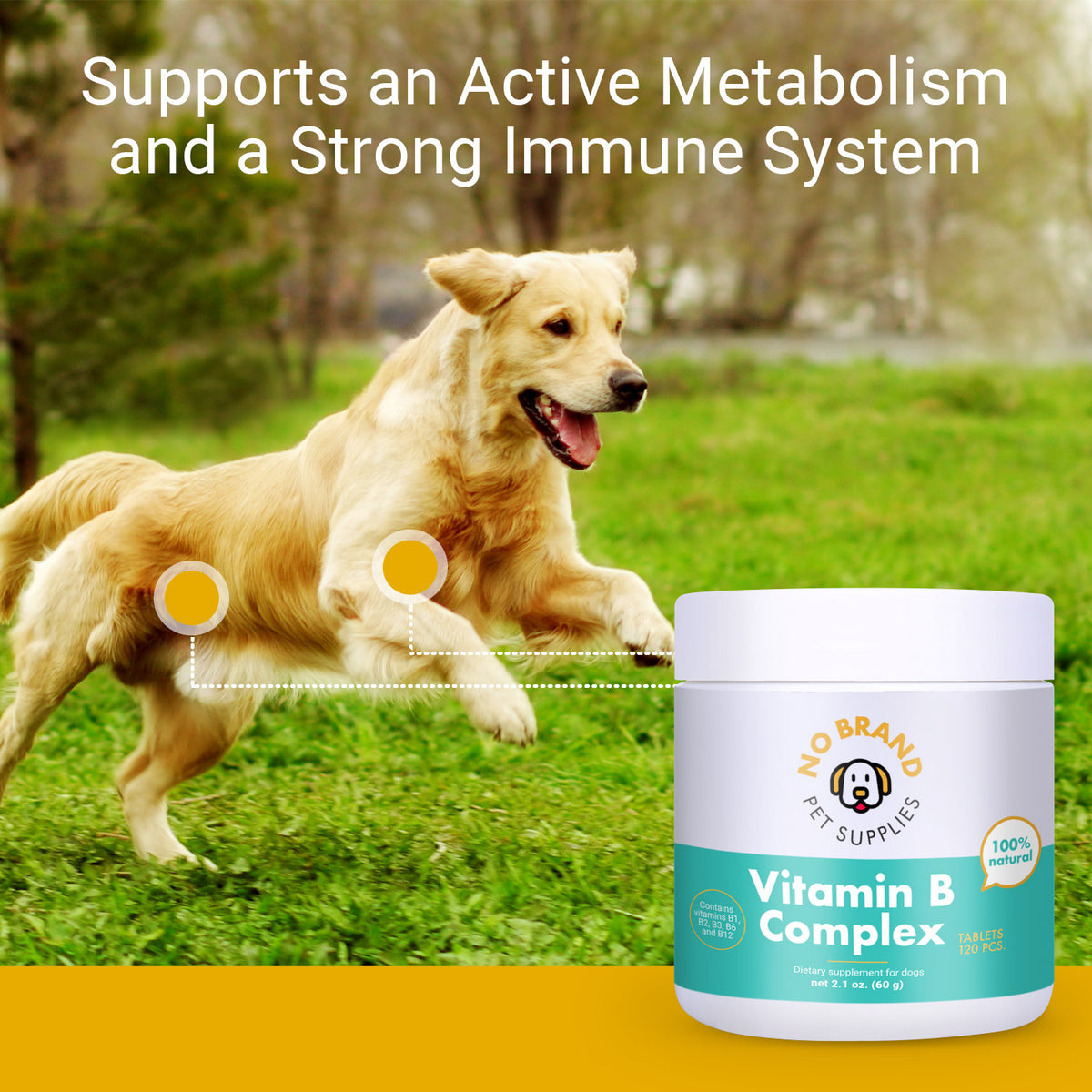 are b vitamins good for dogs