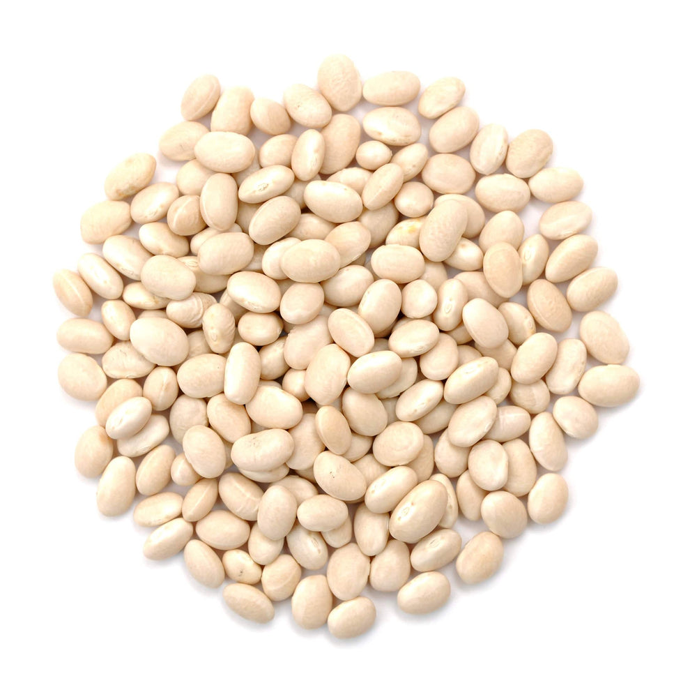 Organic Navy Beans - Country Life Natural Foods