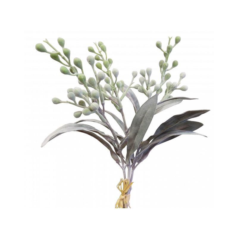 Green Wattle Mimosa Bundle by 3 - 37cm x 19cm