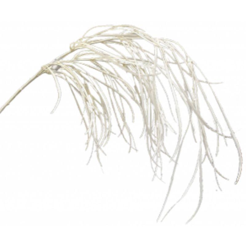 Cream Chives - 83cm