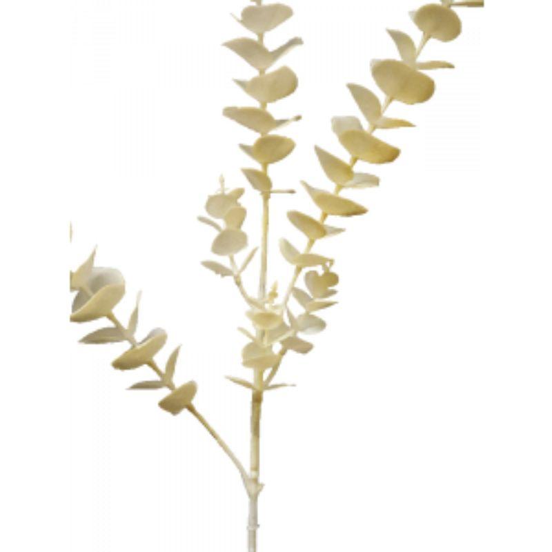 Eucalyptus Spray - 80cm