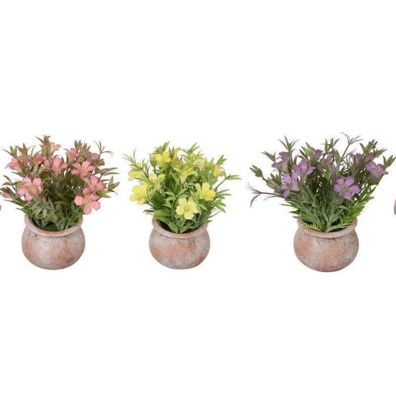 Primrose Flower in Pot - 22cm - The Base Warehouse