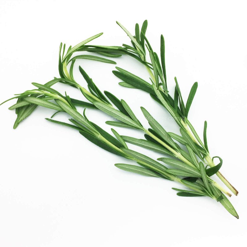 Genting Garden Rosemary Leaves (Malaysia) 10g