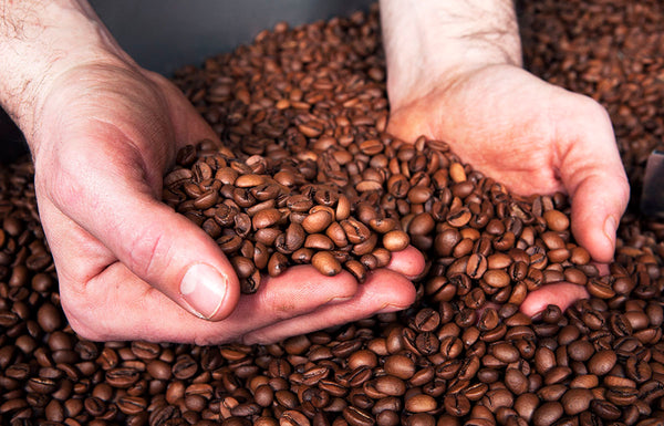 Comment choisir du café bio en grain ? - L'Arbre à Café