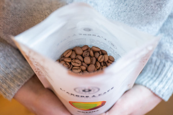 Comment bien préparer du café en grain ? - L'Arbre à Café