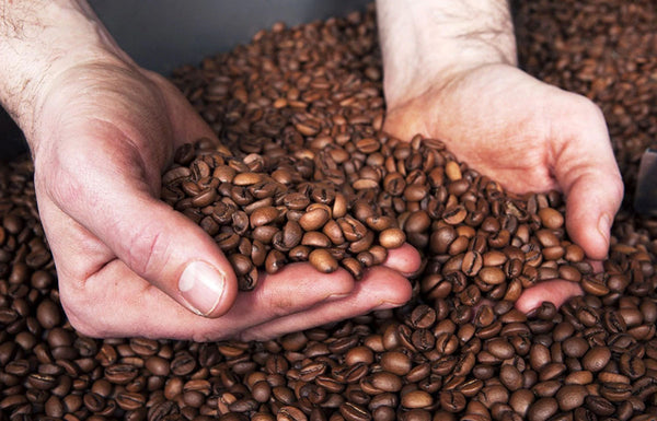 Comment bien choisir du café en grain ? - L'Arbre à Café