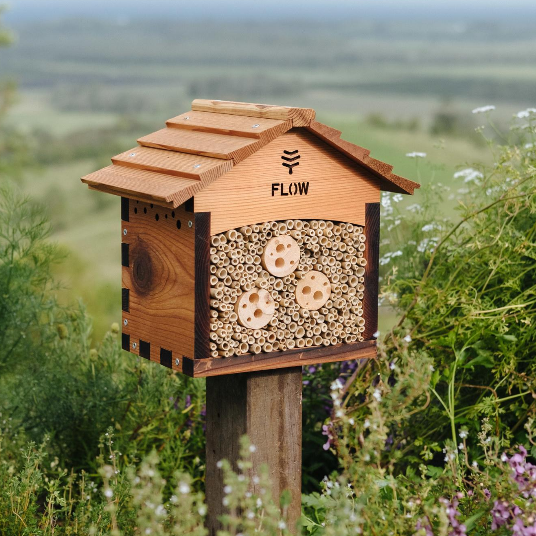 Native Bee Hive Clips: A Beginner's Guide to Supporting Pollinators