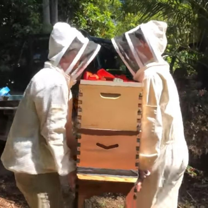 How to move a bee hive (short and long distances)