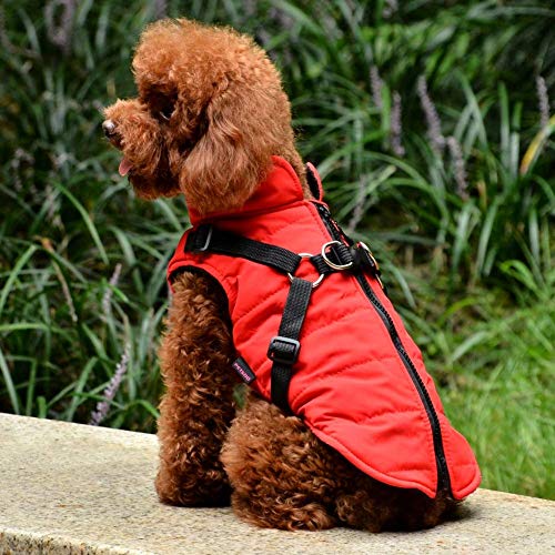 norbi pet warm jacket