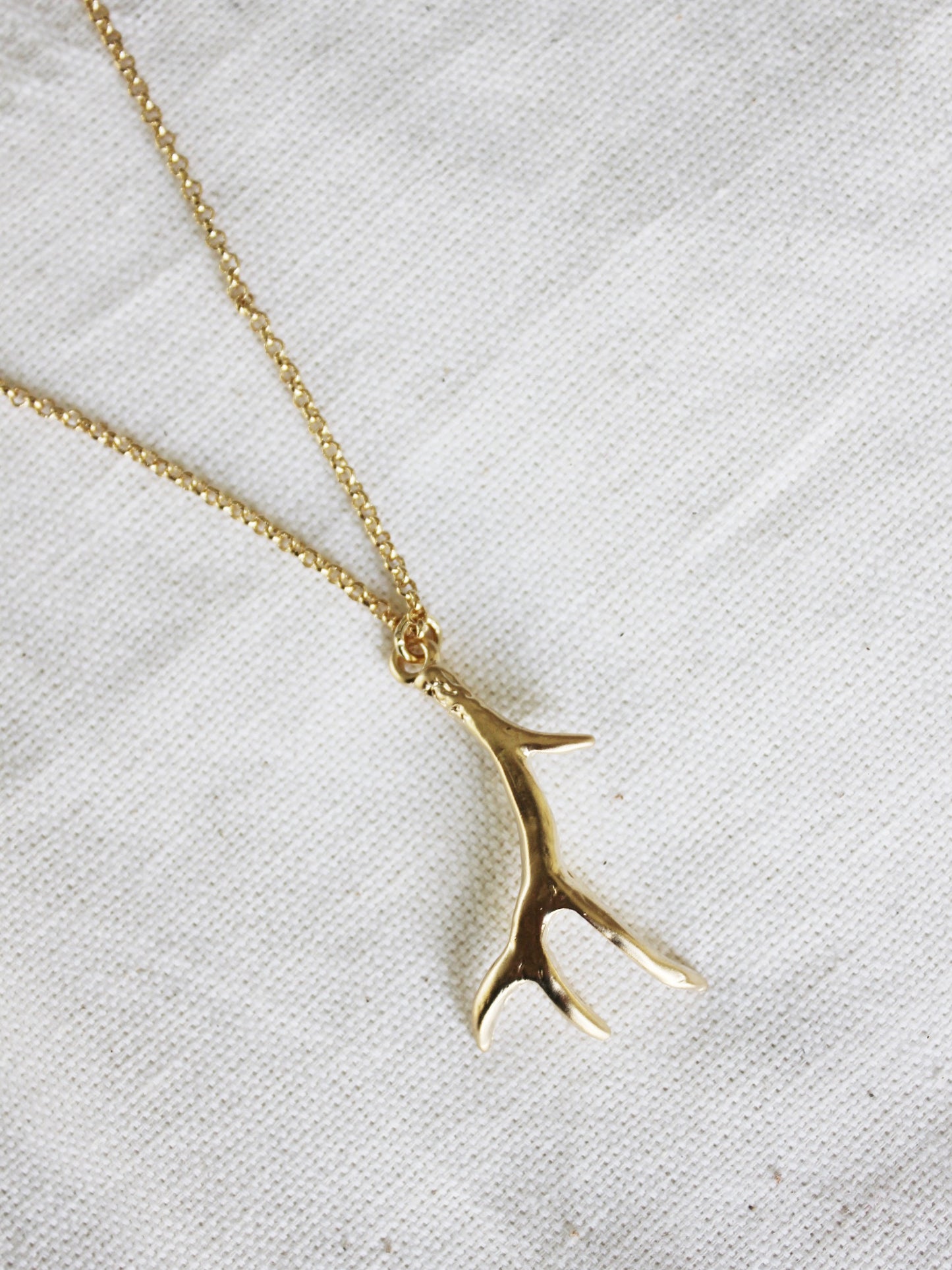 Long Antler Chain Necklace