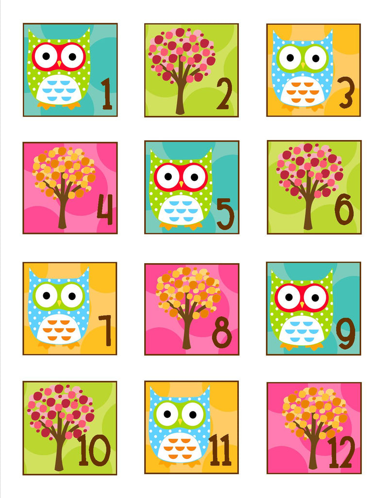 Owl Calendar Numbers Schoolgirl Style