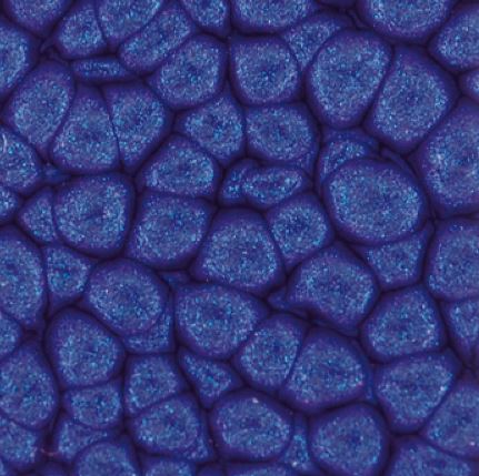Violet-26