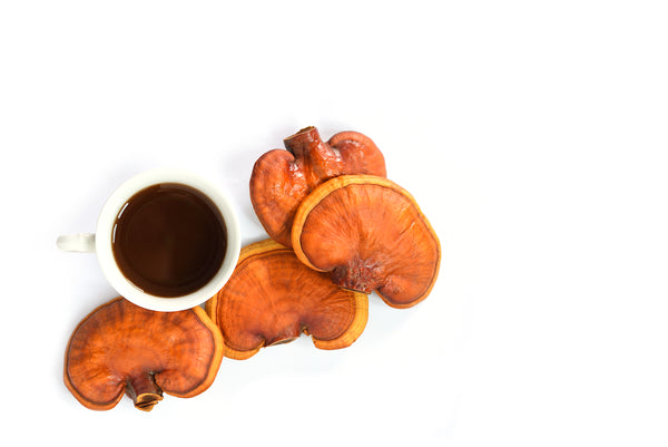 Reishi mushroom lingzhi detox supplement