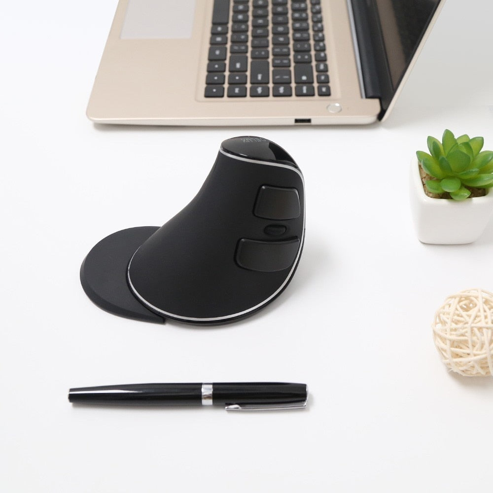 Delux M618 Plus Ergonomic Vertical Wireless Mouse 1600 DPI 6 Function Buttons Optical Mice with Removable Palm Rest For Computer