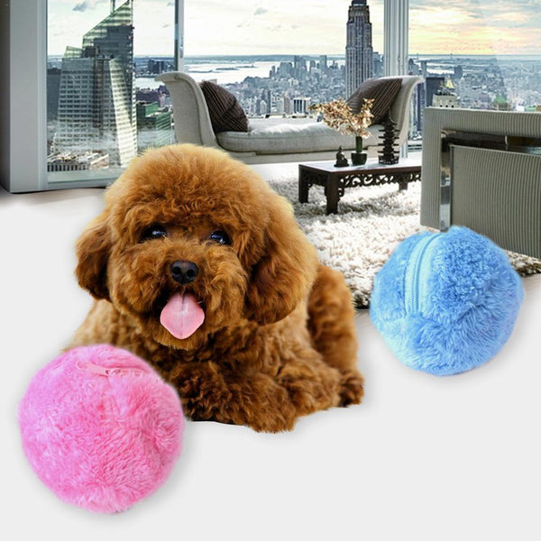 furry ball dog toy