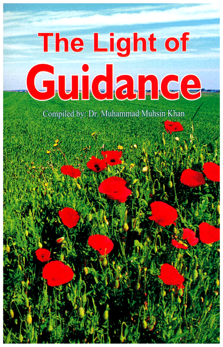 The Light of Guidance