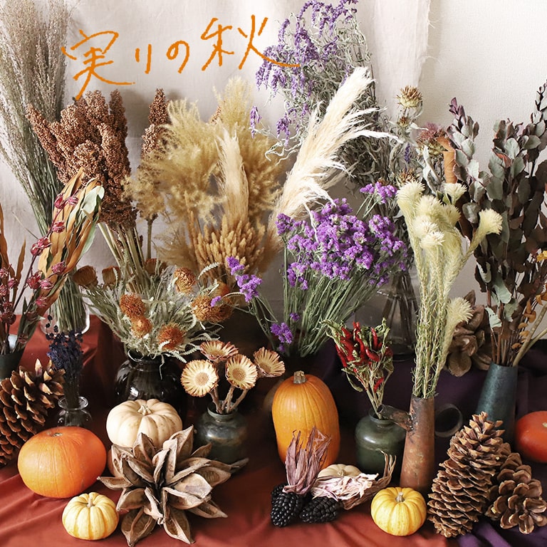 秋の花材 実りの秋 4種類セット ドライフラワー