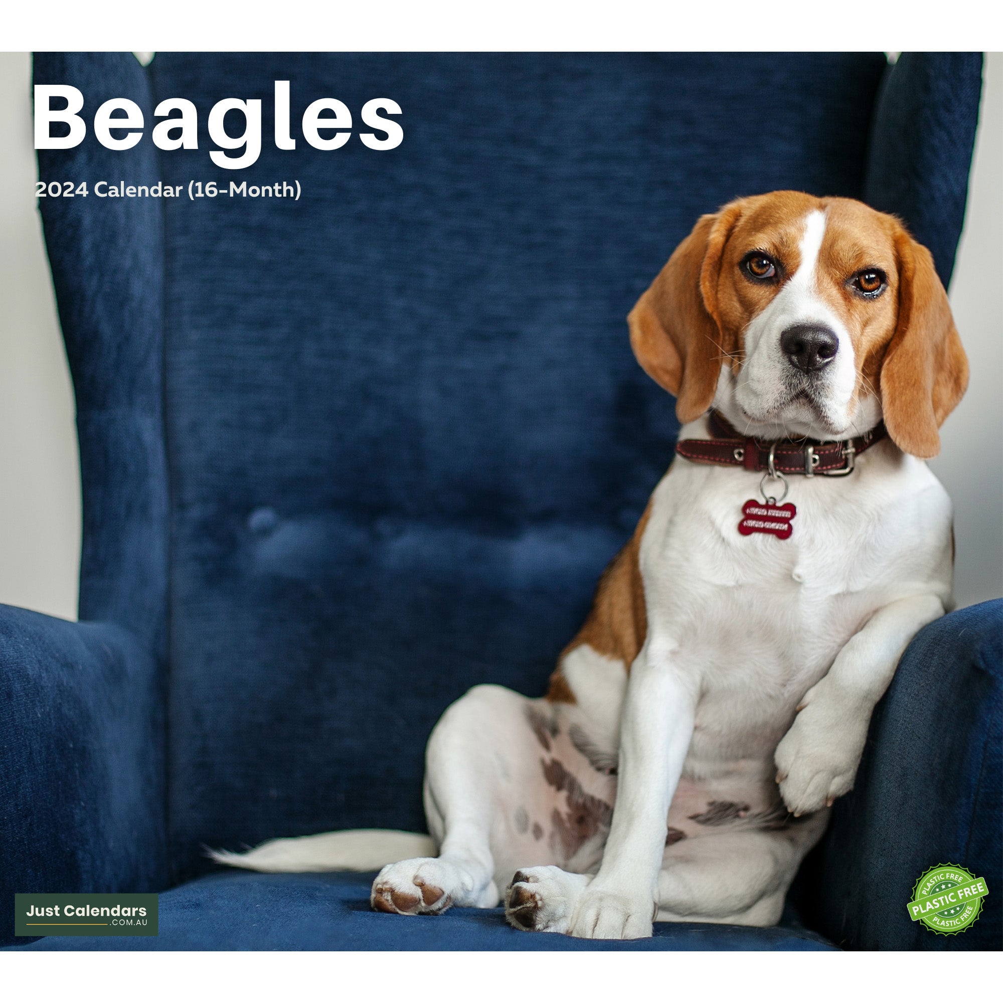 2024 Beagles Deluxe Wall Calendar Dogs & Puppies Calendars By Just