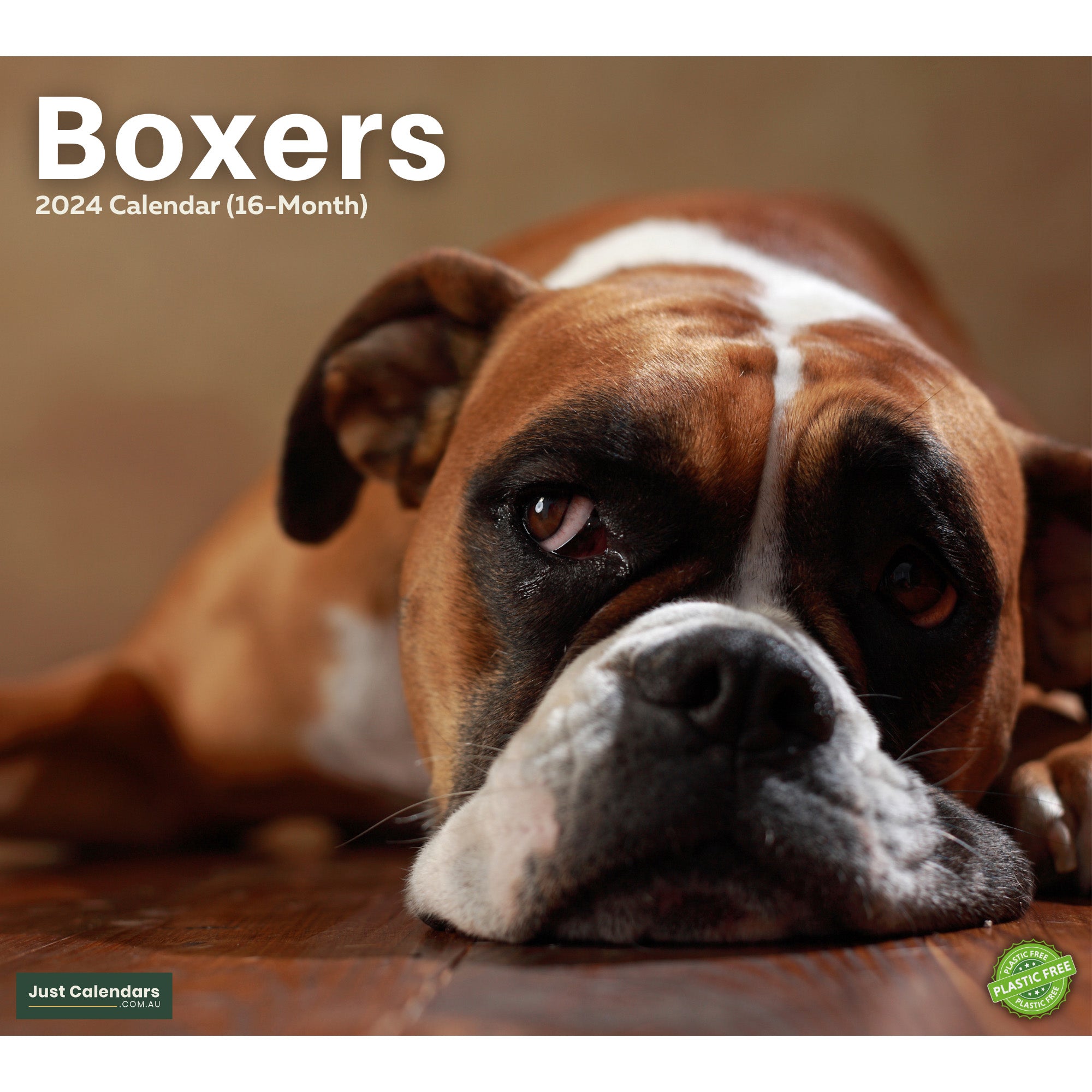 2024 Boxers - Deluxe Wall Calendar - Dogs & Puppies Calendars By Just