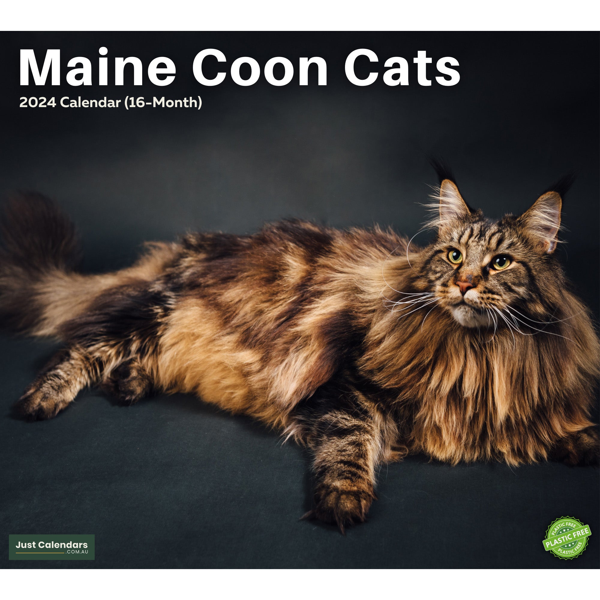 2024 Maine Coon Cats Deluxe Wall Calendar Cats & Kittens Calendars
