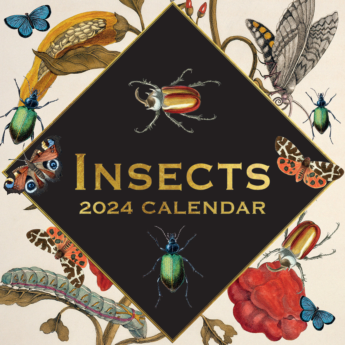 2024 Insects Square Wall Calendar Art Calendars by The Gifted
